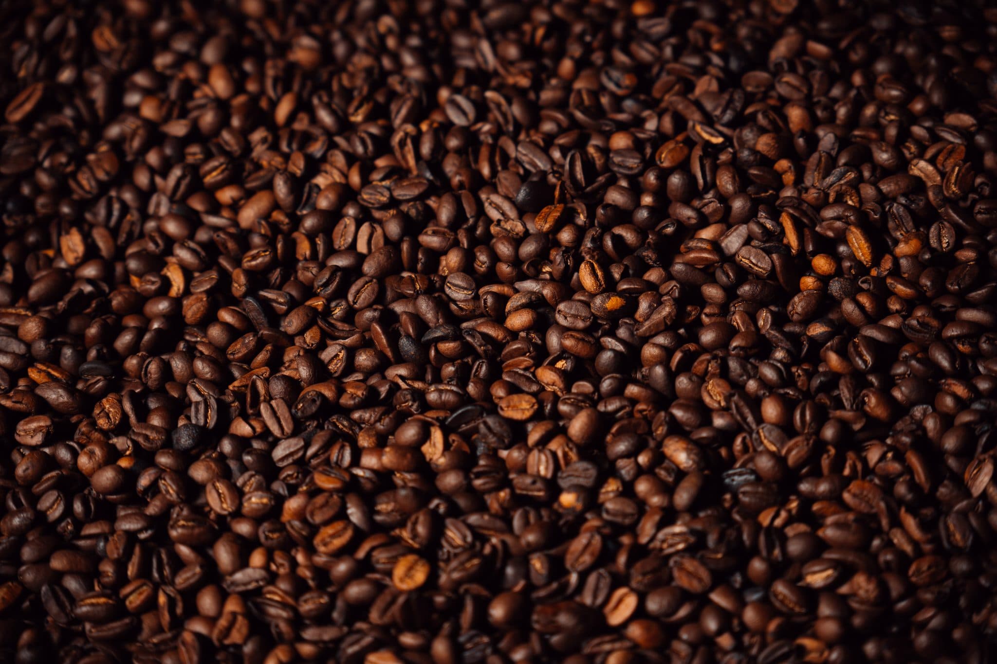 Producto & alimentos — fotografía de Momento Exports